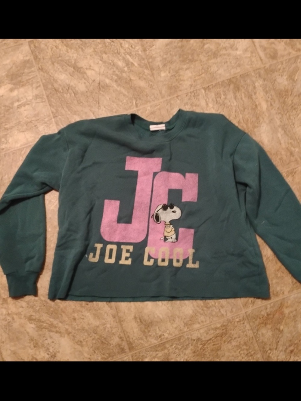 Joe Cool snoopy Graphic Pullover Sweatshirt - Teal